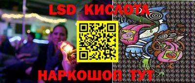 молекула духа Кулебаки