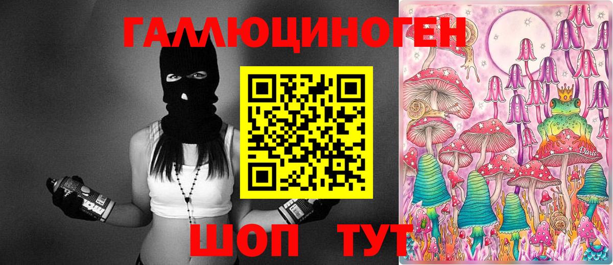 купить наркоту  Псилоцибиновые грибы GOLDEN TEACHER  Вход с VPN  Ессентуки 