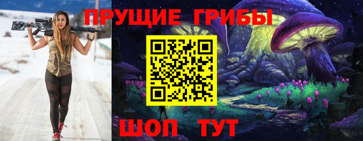 Галлюциногенные грибы Psilocybe Ессентуки