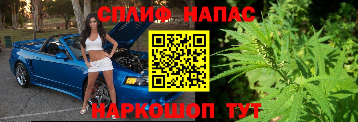 Бошки марихуана SATIVA & INDICA  Бошки марихуана планчик  Вход с VPN  Конопля THC 21%  Ессентуки  Конопля White Widow 